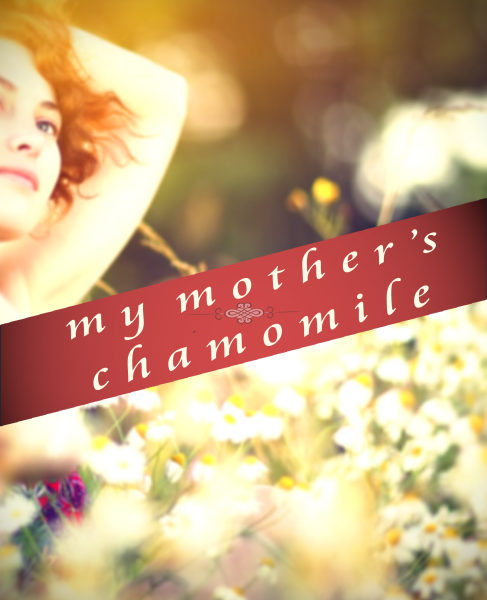 my mothers chamomile